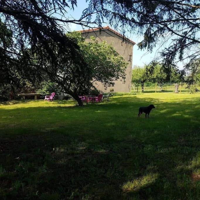 Gite La Roche Paisible Saint-Julien-de-Coppel Esterno foto